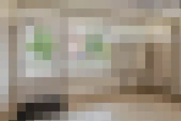 Reidans 14 Capelle aan den IJssel thumbnail 6