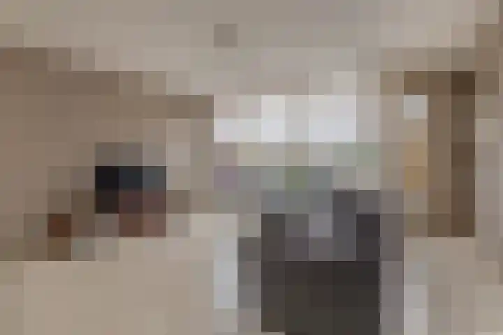 Reidans 14 Capelle aan den IJssel thumbnail 9