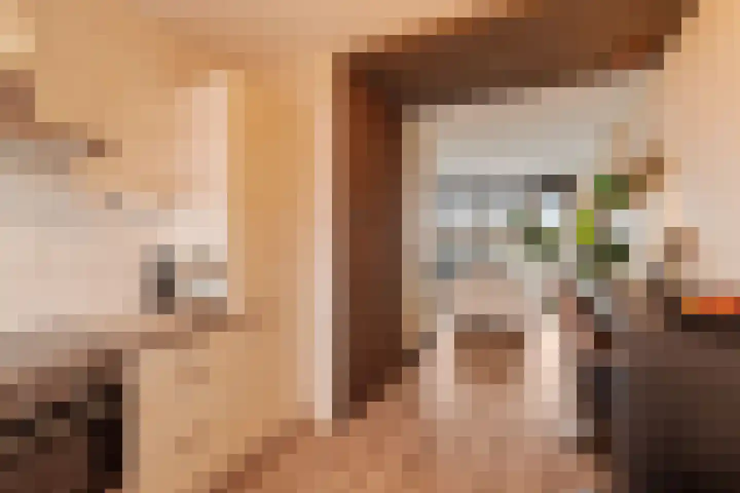 Reidans 18 Capelle aan den IJssel thumbnail 11