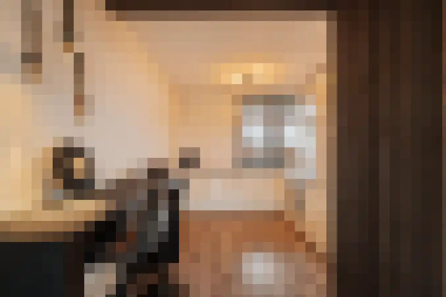 Reidans 18 Capelle aan den IJssel thumbnail 12