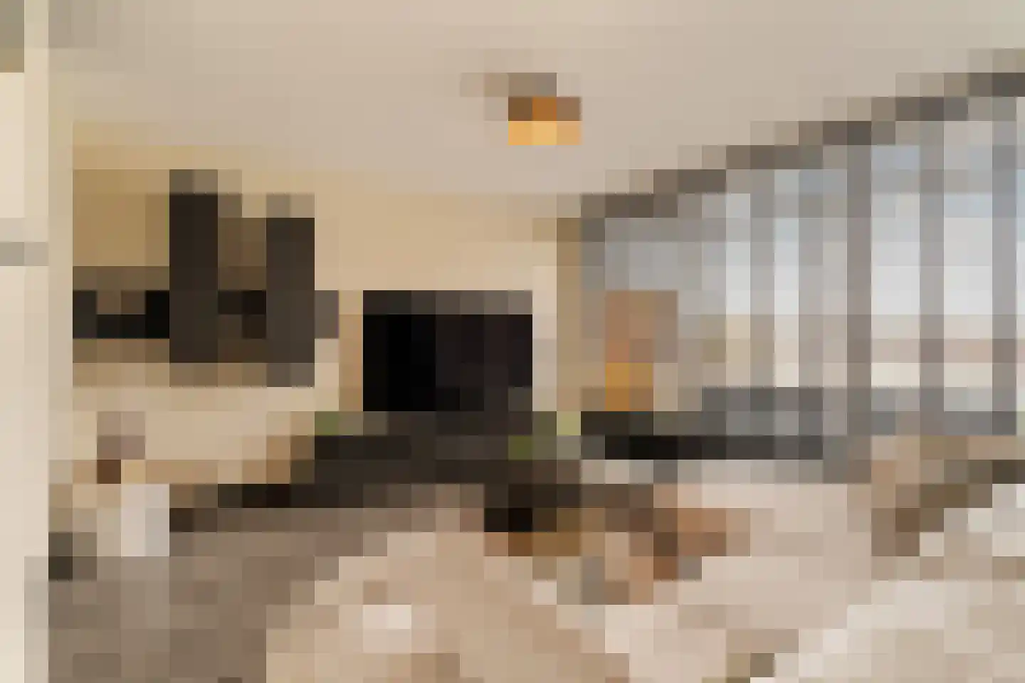Reidans 18 Capelle aan den IJssel thumbnail 13