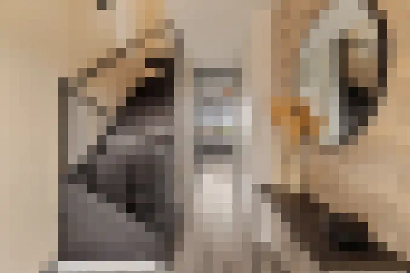 Reidans 18 Capelle aan den IJssel thumbnail 13