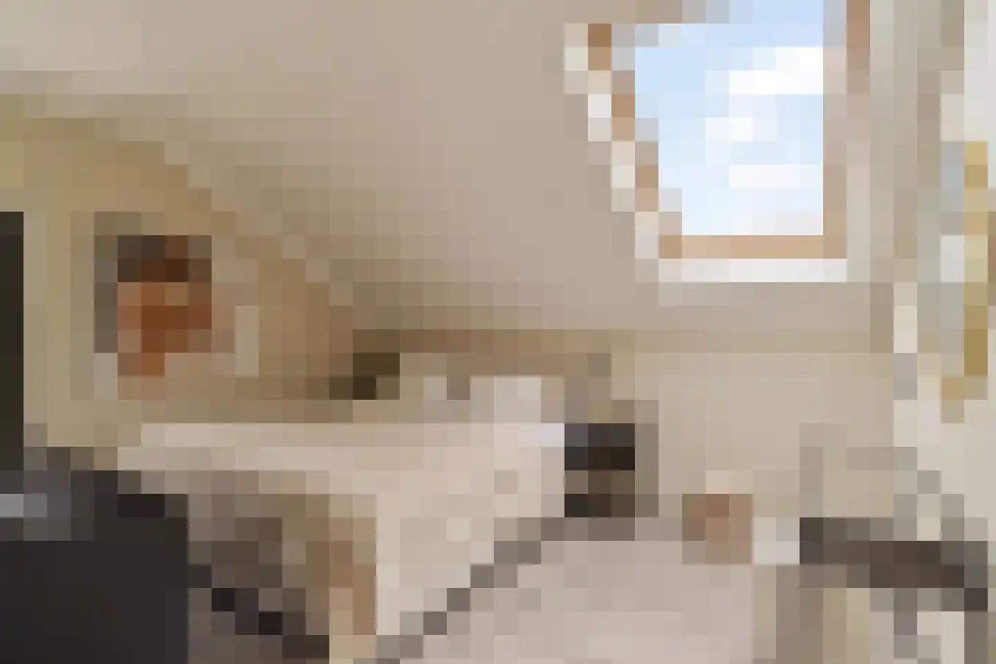 Reidans 18 Capelle aan den IJssel thumbnail 15