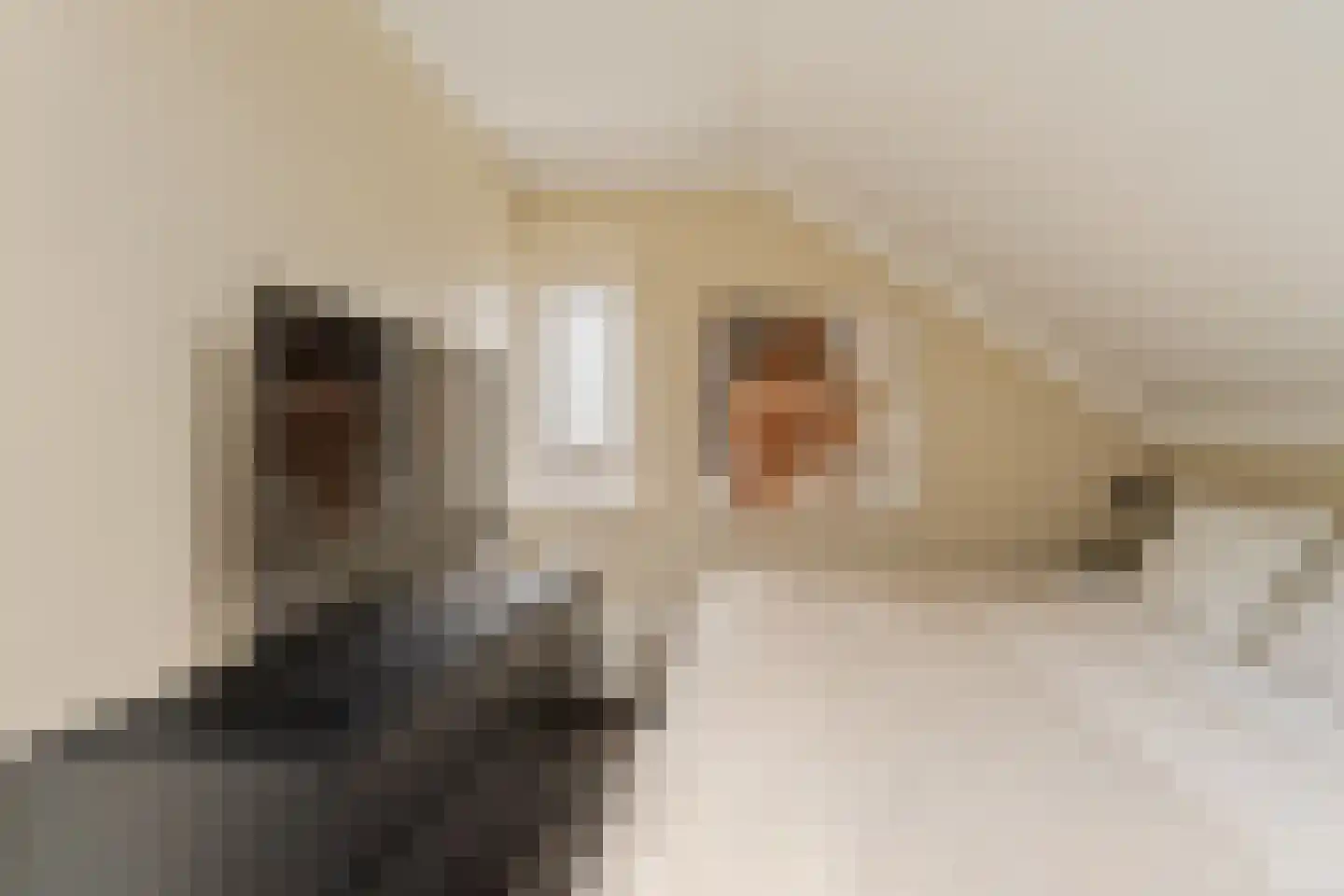 Reidans 18 Capelle aan den IJssel thumbnail 16