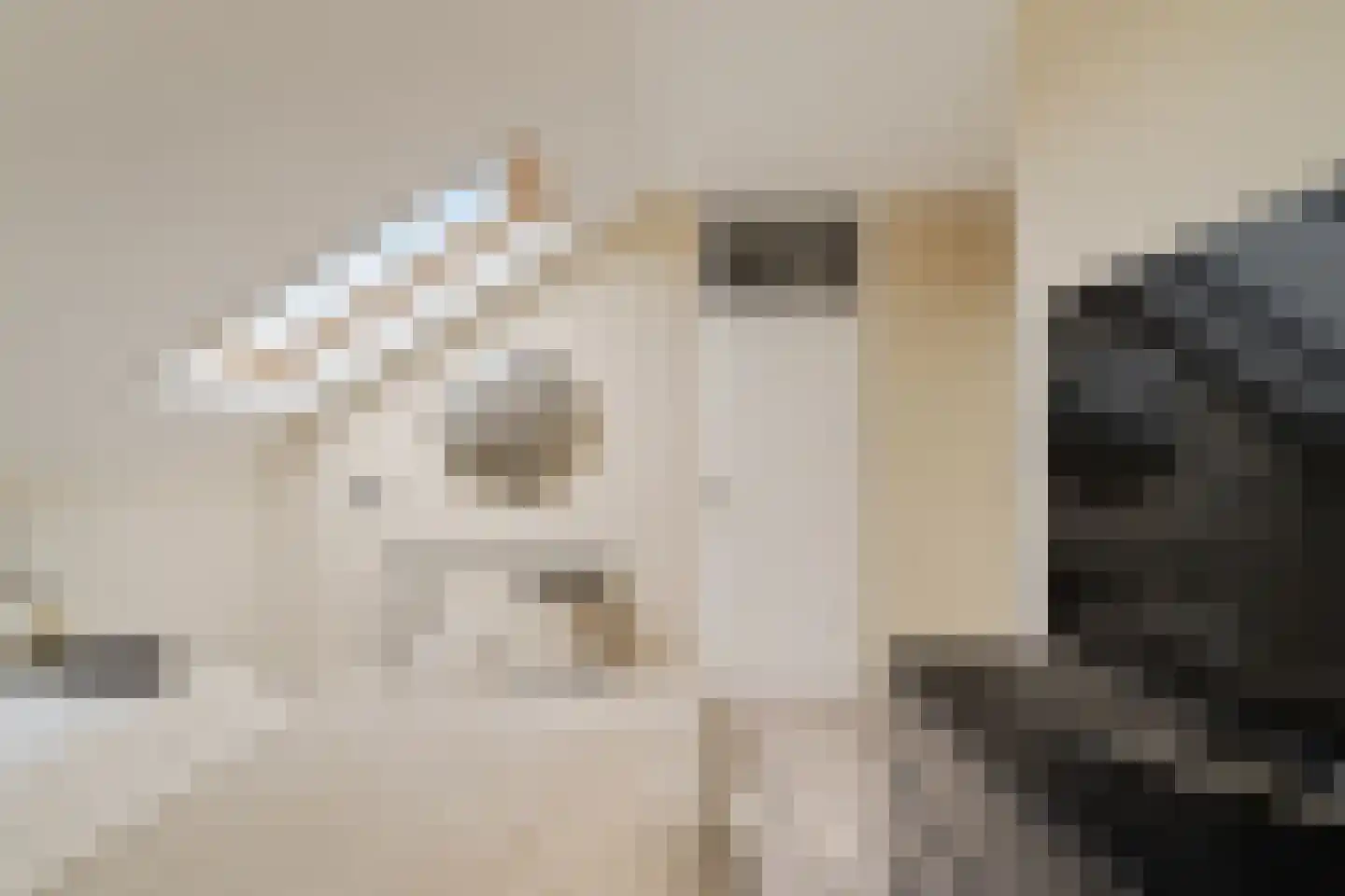 Reidans 18 Capelle aan den IJssel thumbnail 17