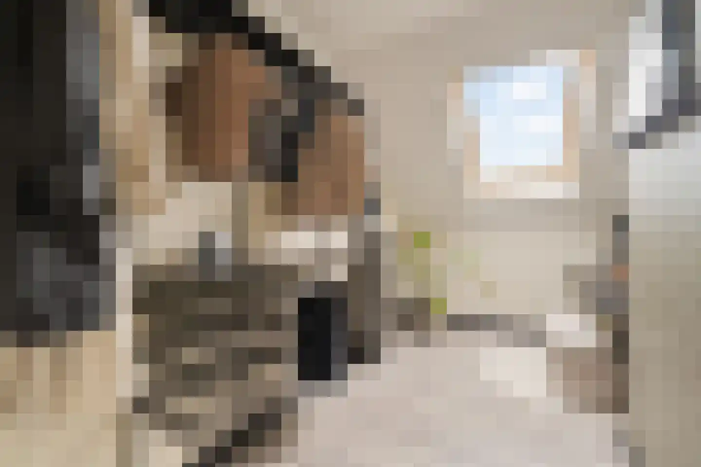 Reidans 18 Capelle aan den IJssel thumbnail 20