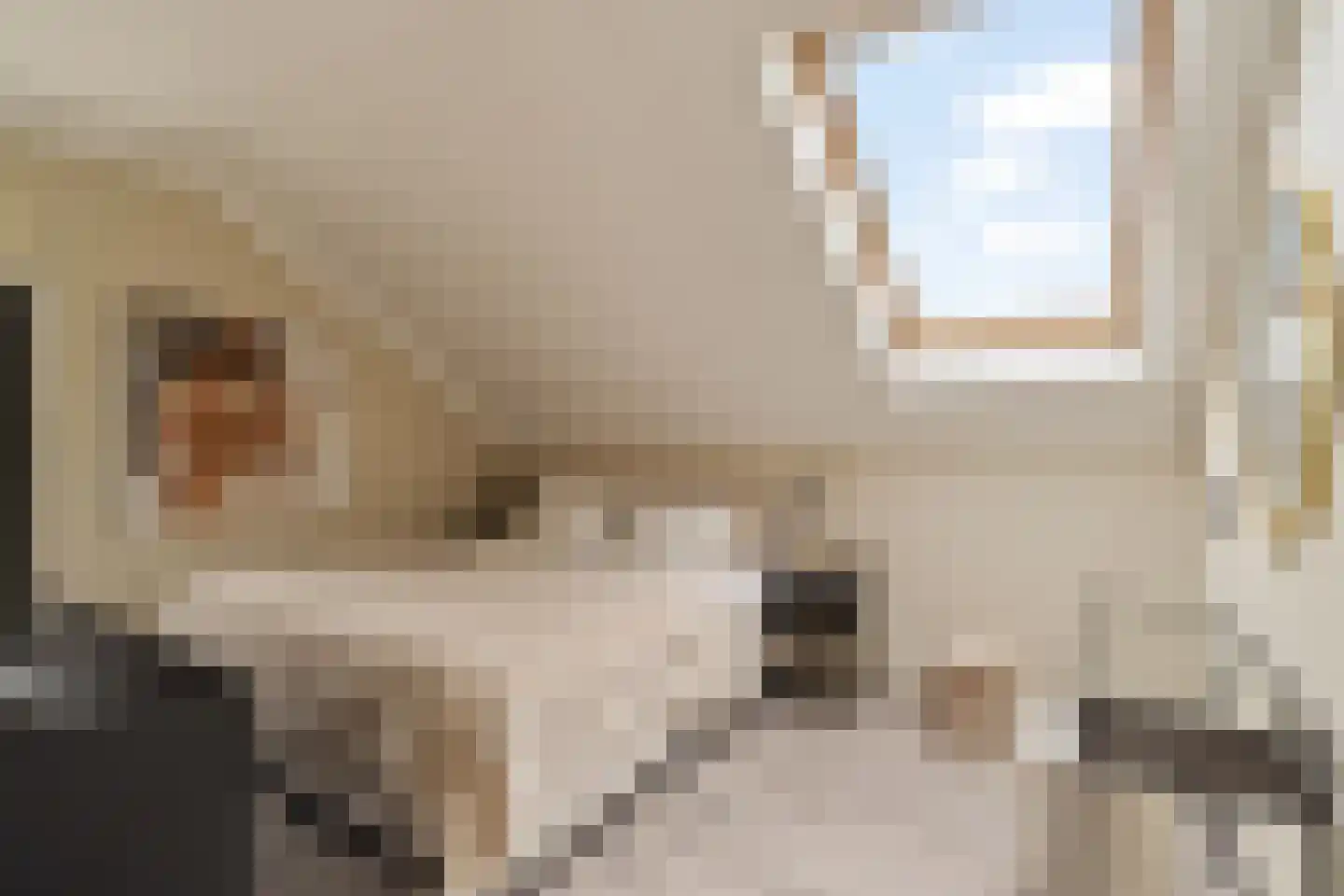Reidans 18 Capelle aan den IJssel thumbnail 23