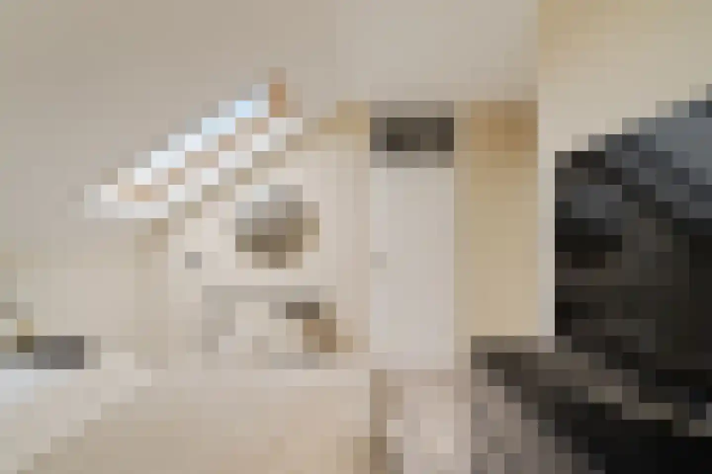 Reidans 18 Capelle aan den IJssel thumbnail 25