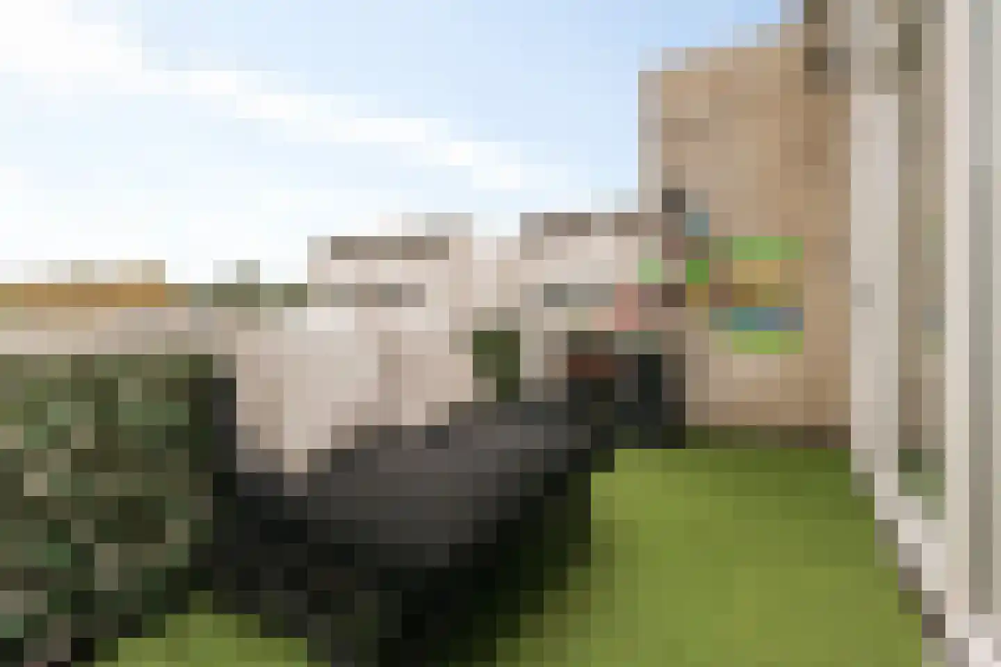 Reidans 18 Capelle aan den IJssel thumbnail 27
