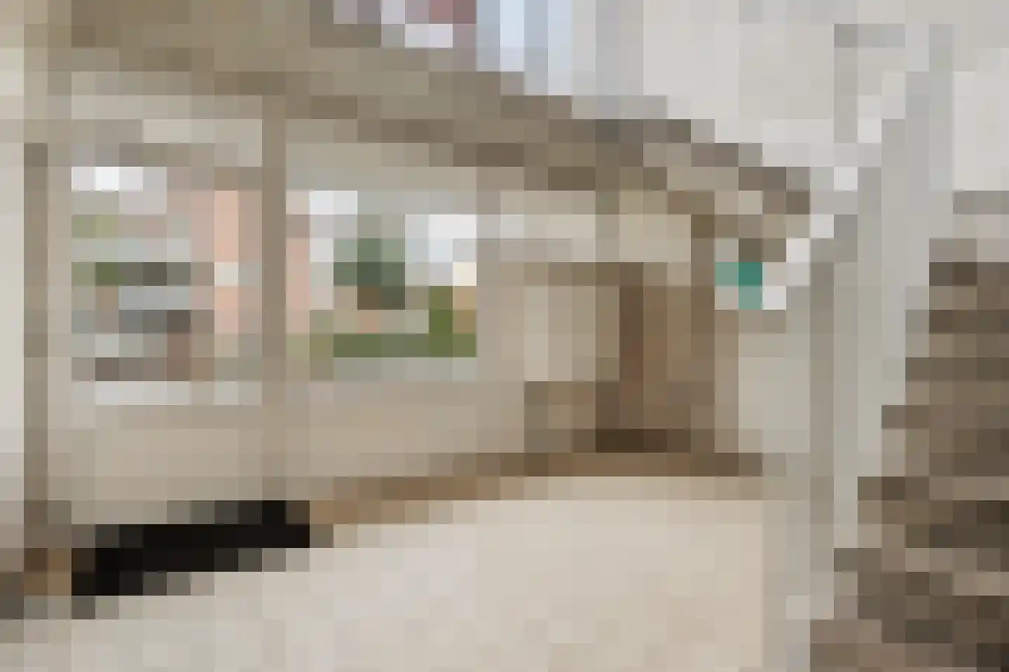 Reidans 18 Capelle aan den IJssel thumbnail 30