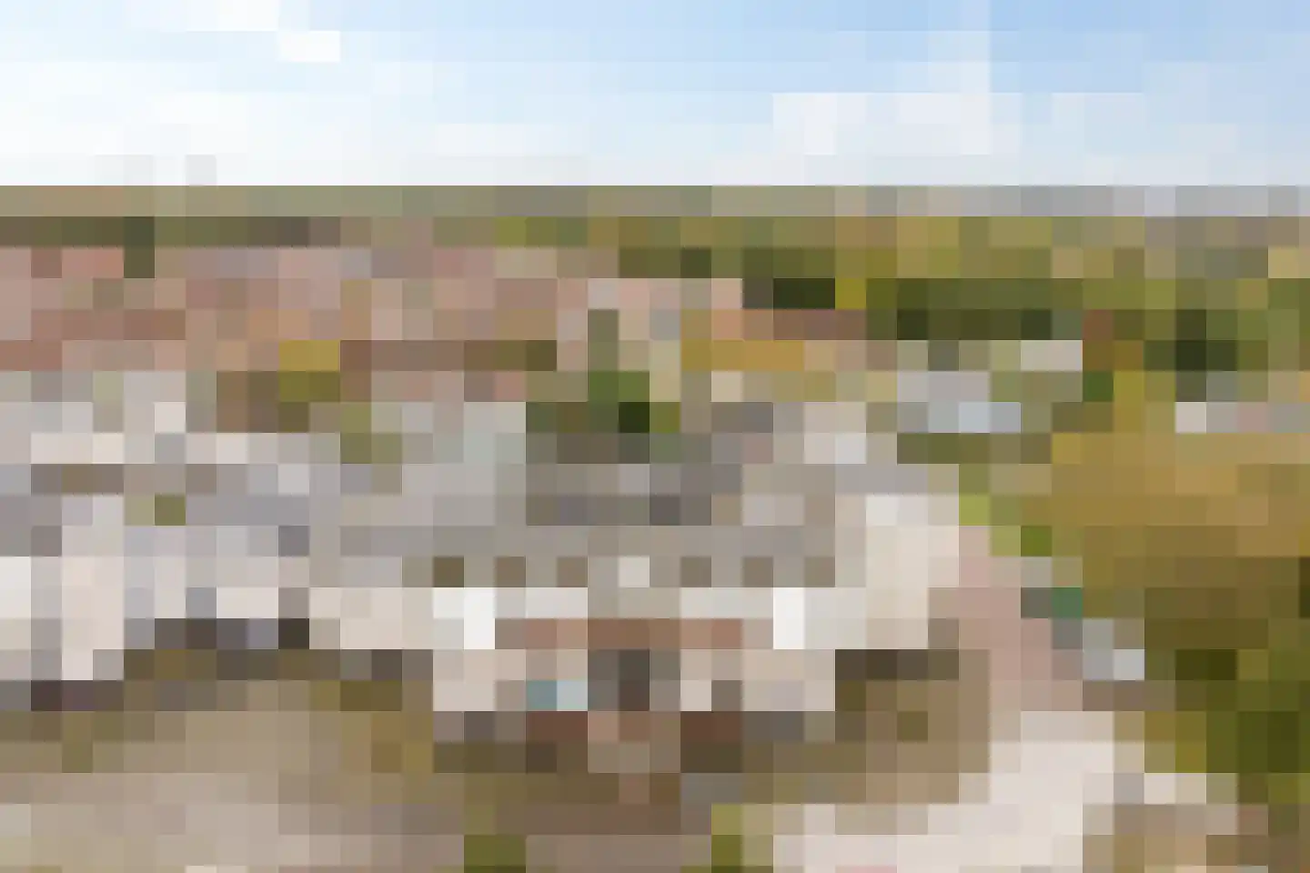 Reidans 18 Capelle aan den IJssel thumbnail 33