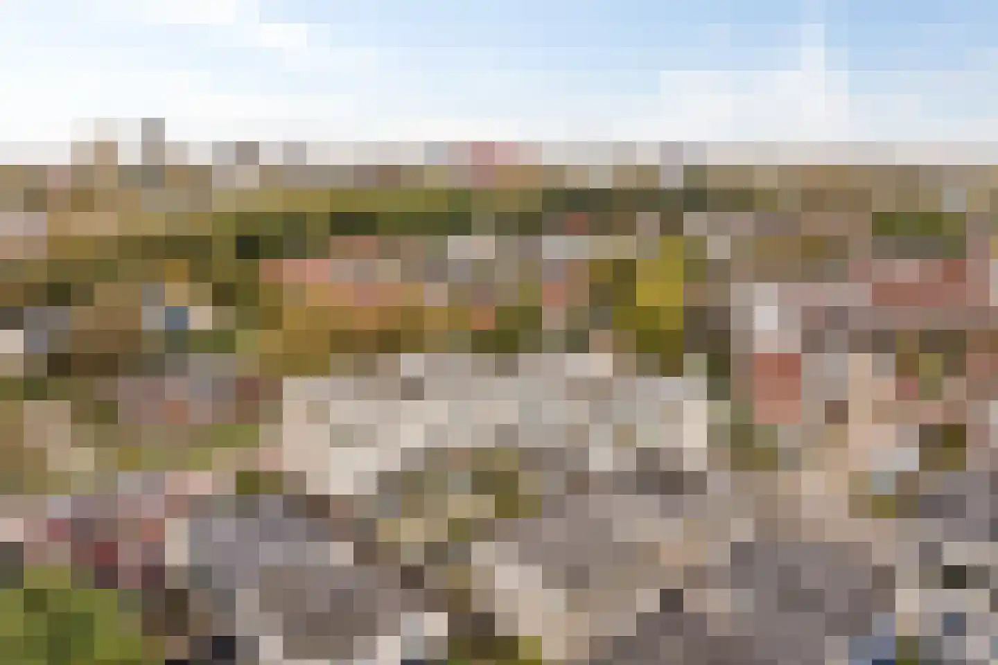 Reidans 18 Capelle aan den IJssel thumbnail 36