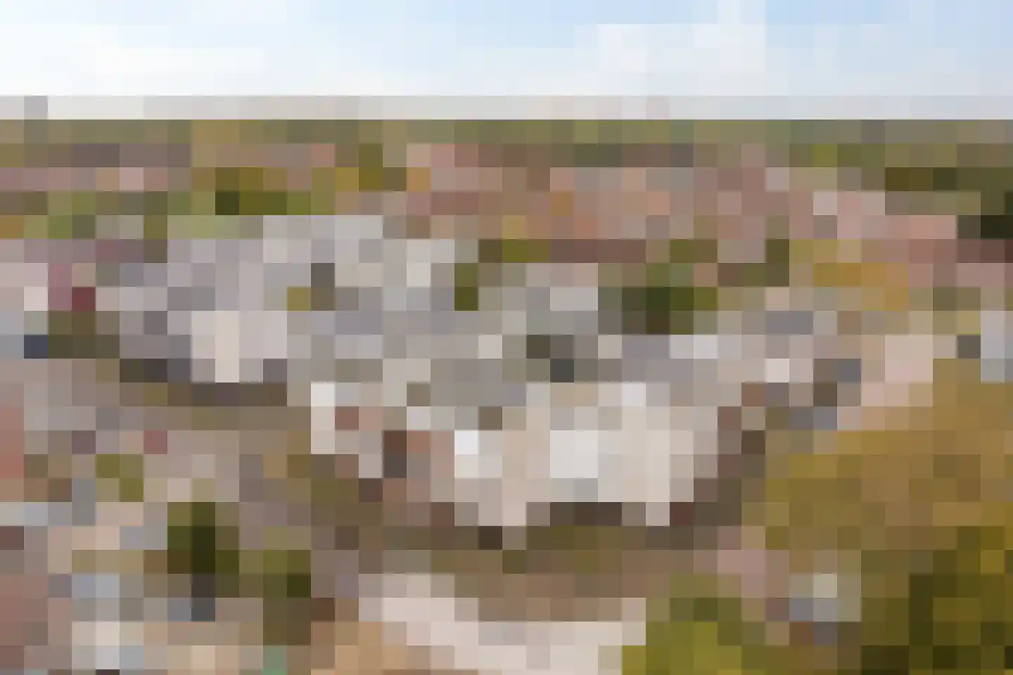 Reidans 18 Capelle aan den IJssel thumbnail 37