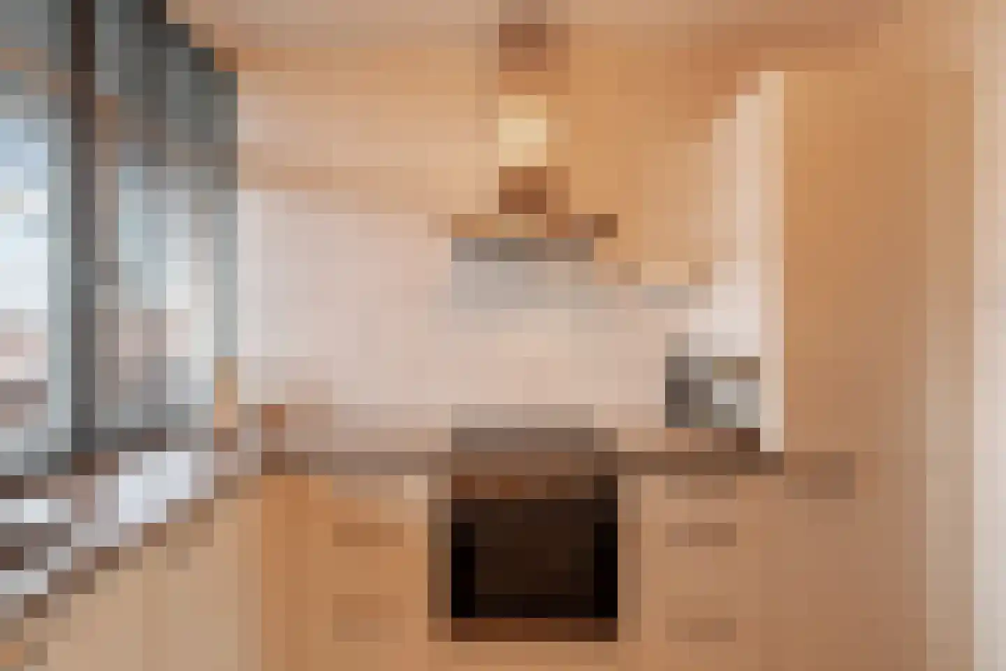 Reidans 18 Capelle aan den IJssel thumbnail 4