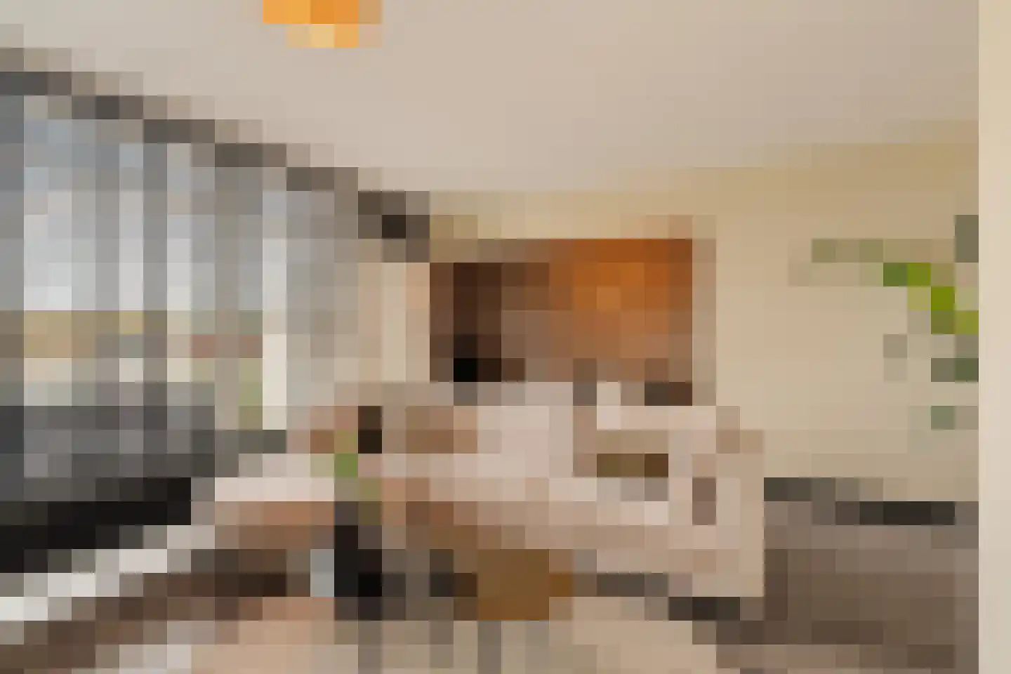 Reidans 18 Capelle aan den IJssel thumbnail 5
