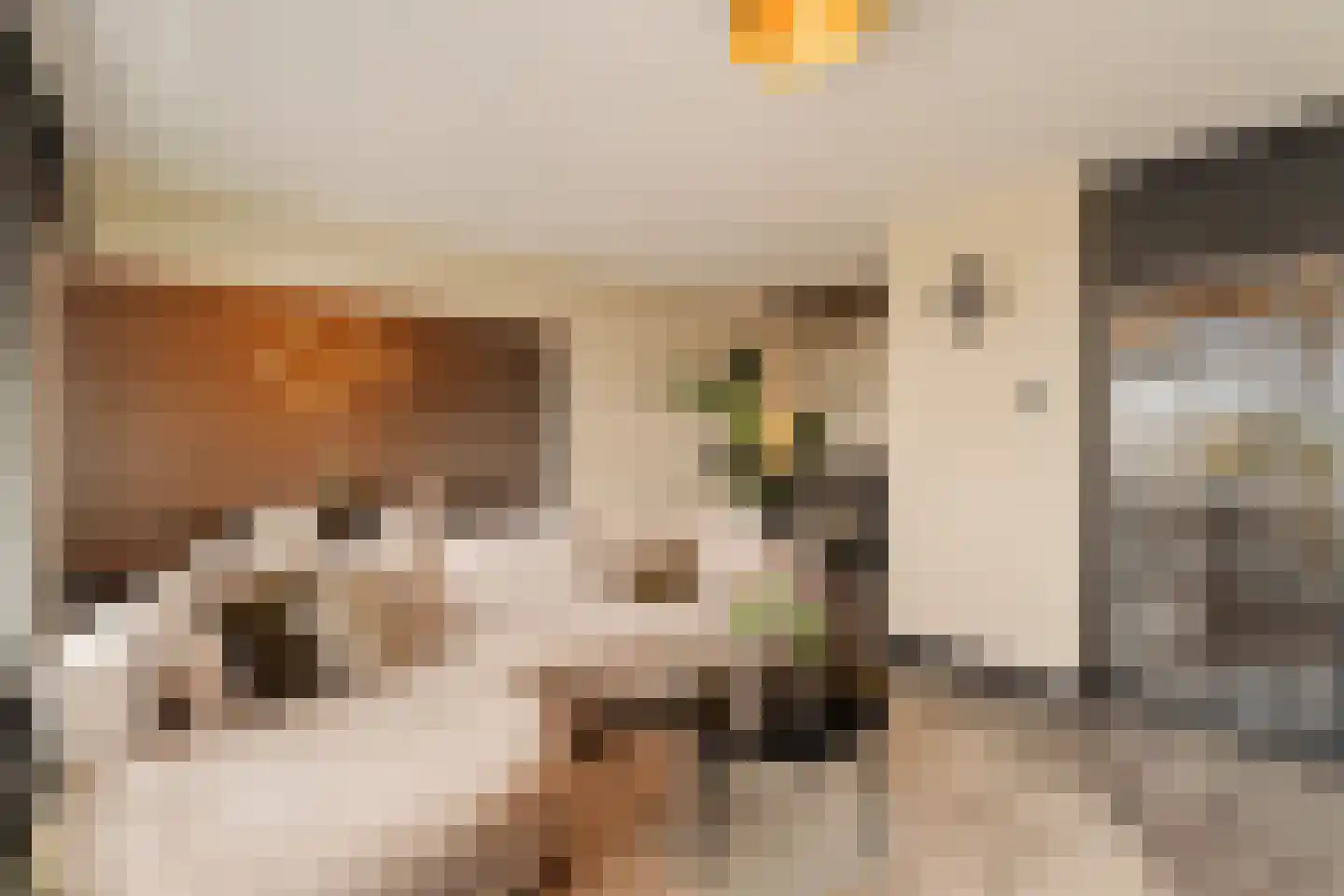 Reidans 18 Capelle aan den IJssel thumbnail 6