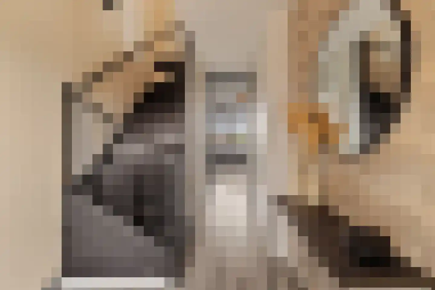 Reidans 18 Capelle aan den IJssel thumbnail 7
