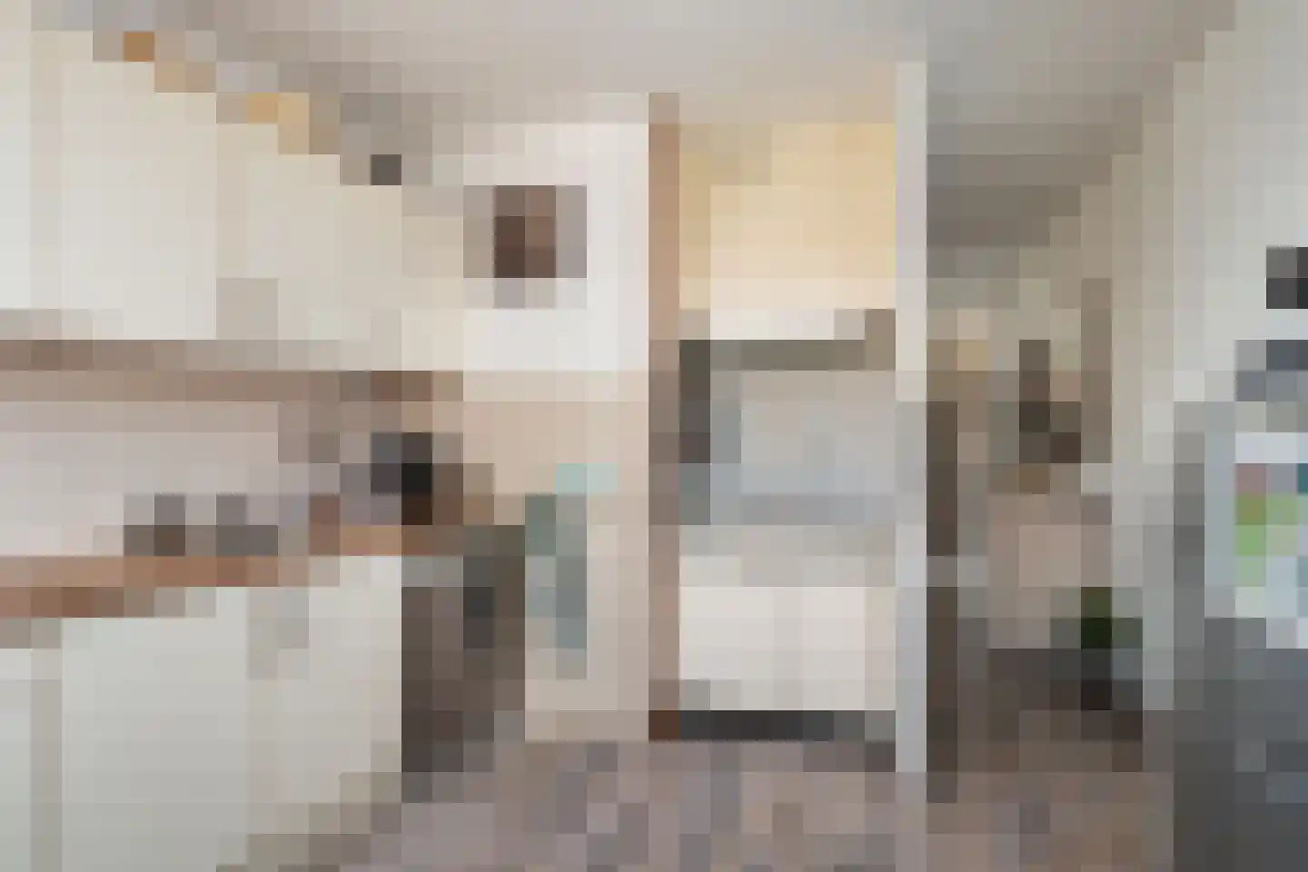 Reidans 46 Capelle aan den IJssel thumbnail 12