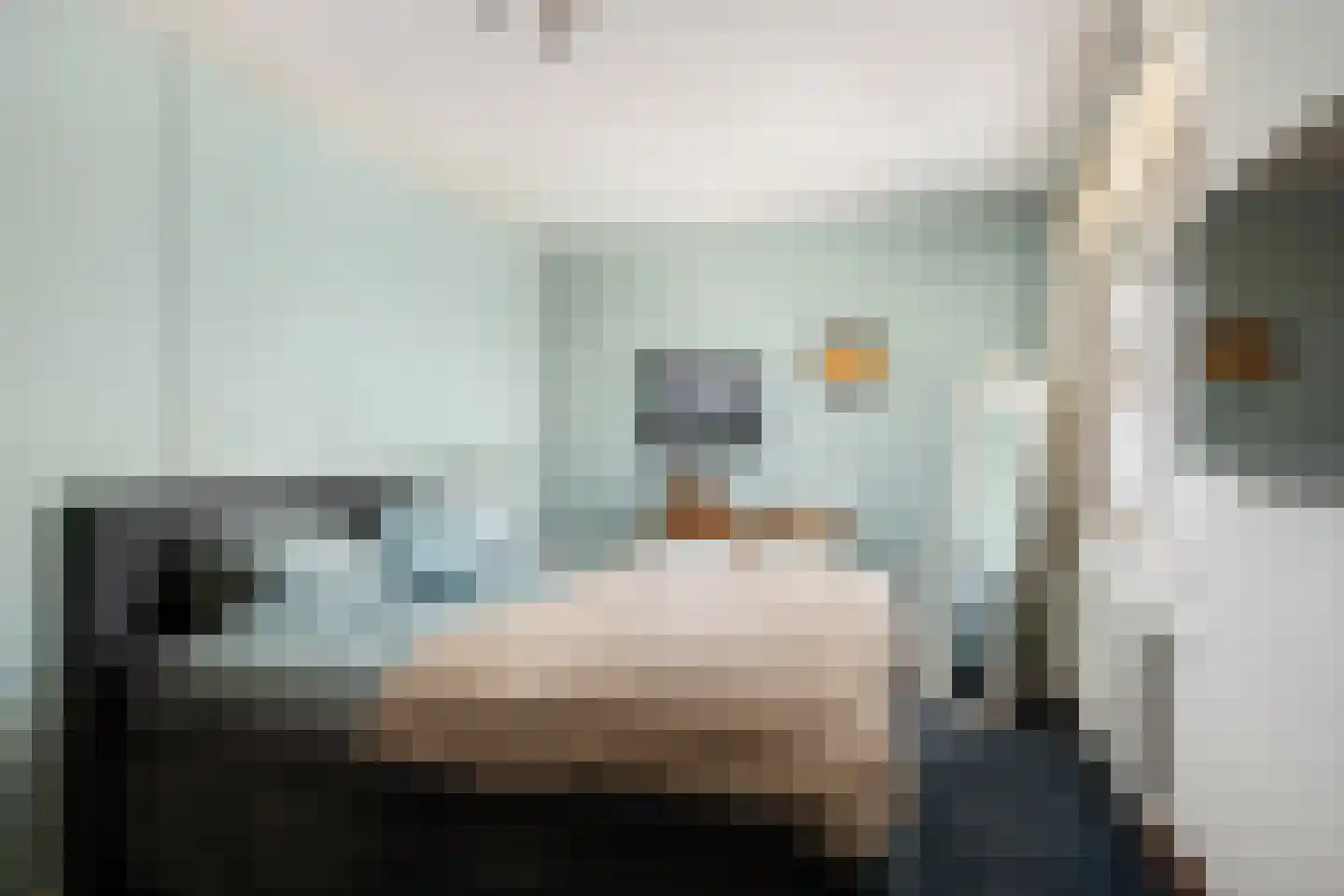 Reidans 46 Capelle aan den IJssel thumbnail 18
