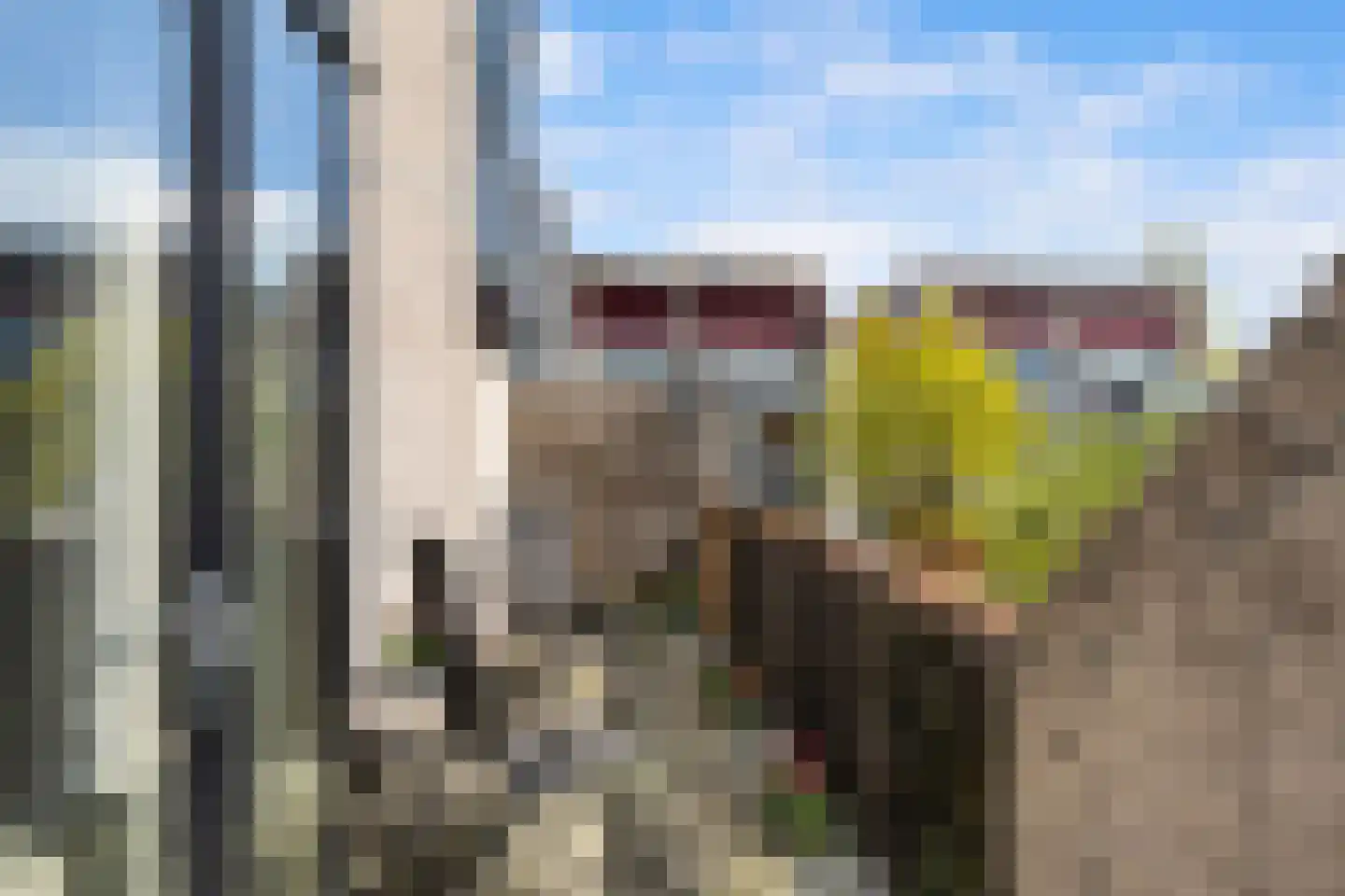 Reidans 46 Capelle aan den IJssel thumbnail 25