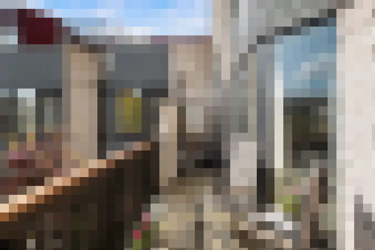 Reidans 46 Capelle aan den IJssel thumbnail 26