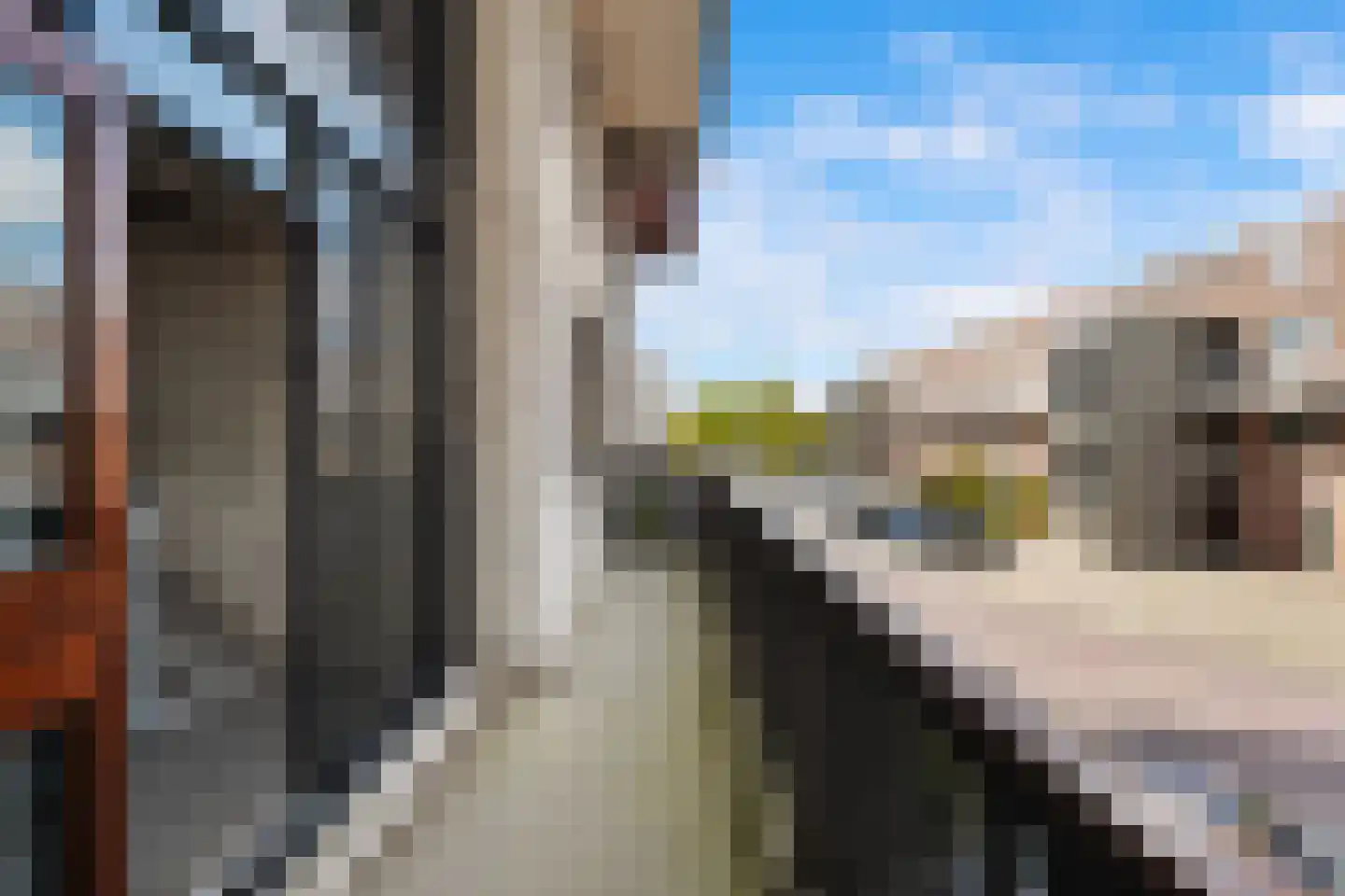 Reidans 46 Capelle aan den IJssel thumbnail 30
