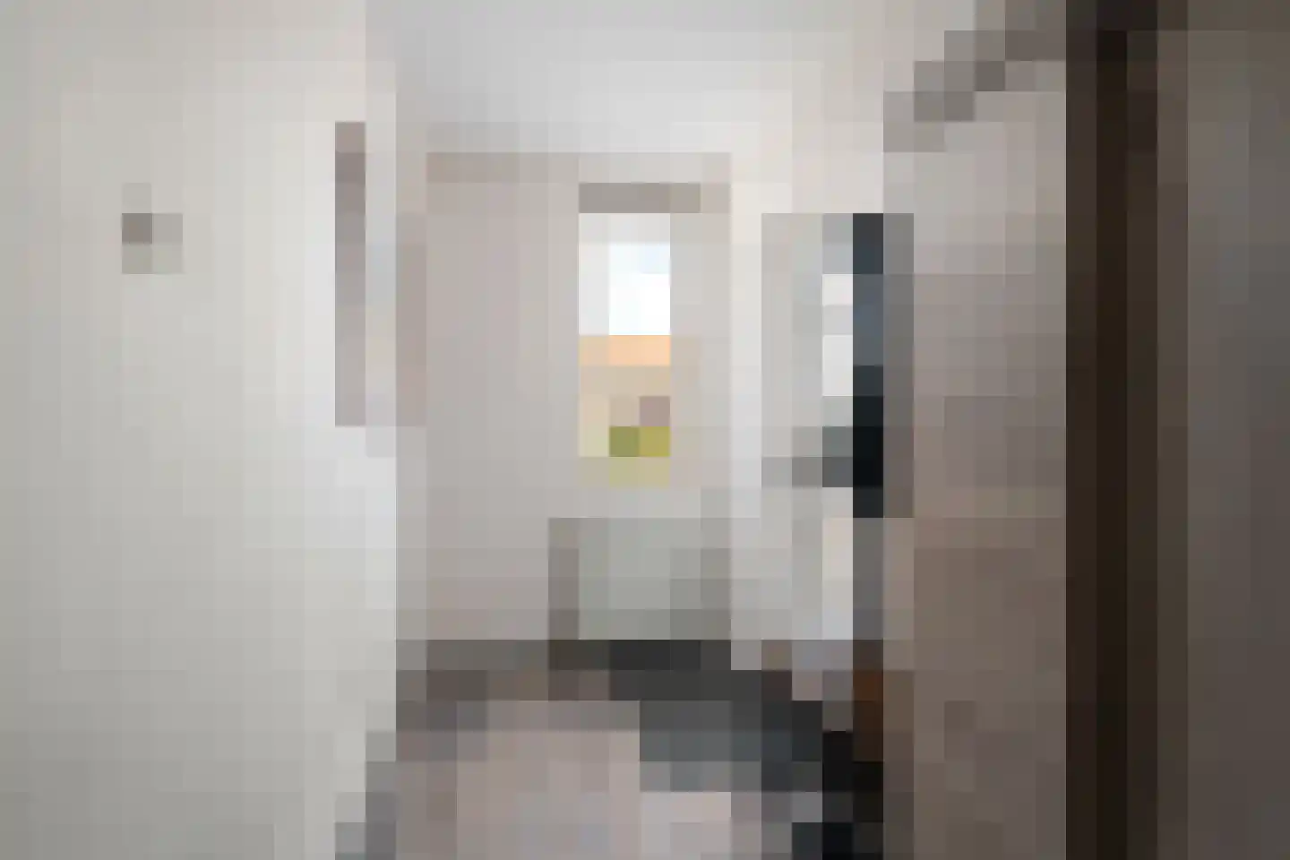 Reidans 46 Capelle aan den IJssel thumbnail 5