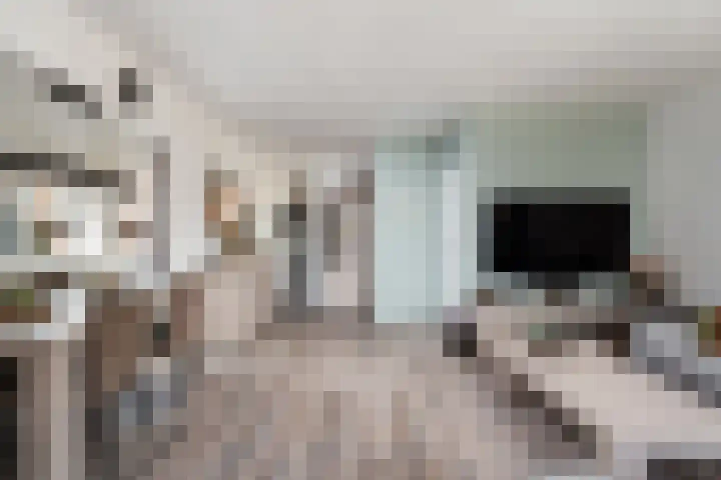 Reidans 46 Capelle aan den IJssel thumbnail 9