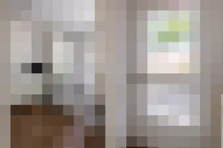 Reidans 50 Capelle aan den IJssel thumbnail 10