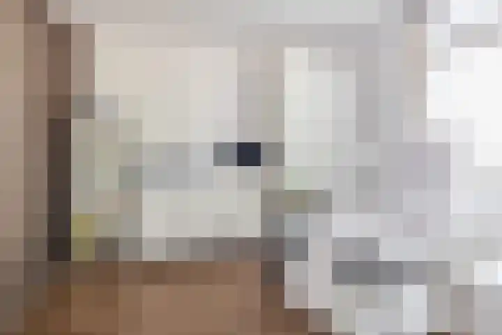 Reidans 50 Capelle aan den IJssel thumbnail 11