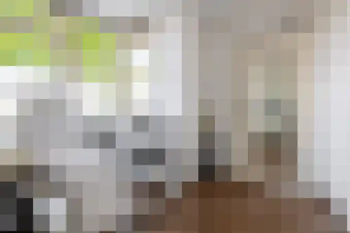 Reidans 50 Capelle aan den IJssel thumbnail 12