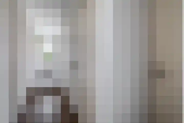 Reidans 50 Capelle aan den IJssel thumbnail 13