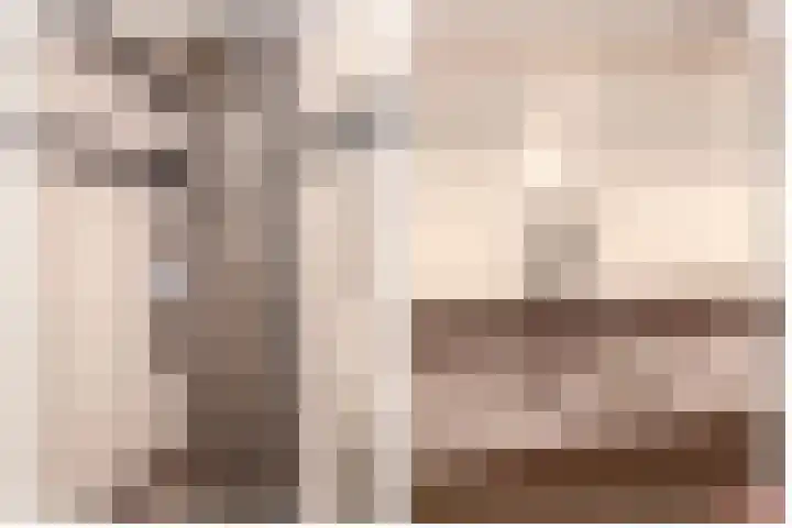 Reidans 50 Capelle aan den IJssel thumbnail 16