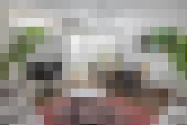 Reidans 50 Capelle aan den IJssel thumbnail 18