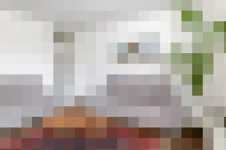 Reidans 50 Capelle aan den IJssel thumbnail 20