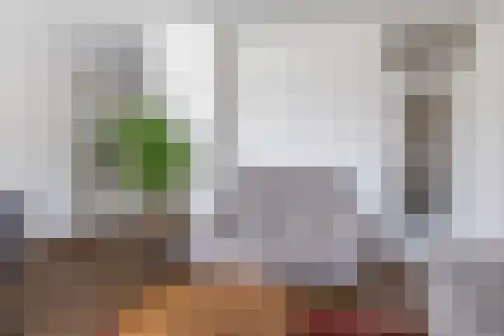 Reidans 50 Capelle aan den IJssel thumbnail 21