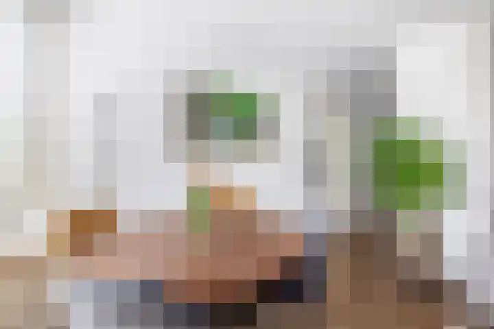 Reidans 50 Capelle aan den IJssel thumbnail 22