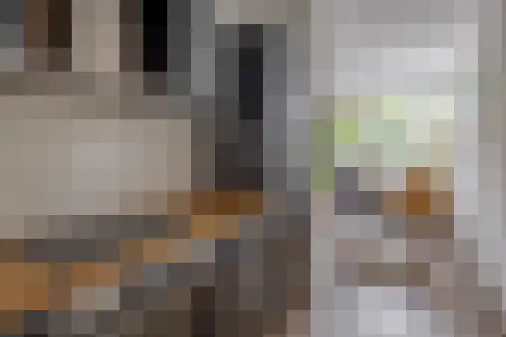 Reidans 50 Capelle aan den IJssel thumbnail 26