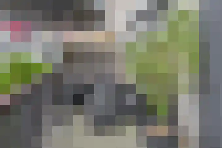 Reidans 50 Capelle aan den IJssel thumbnail 30