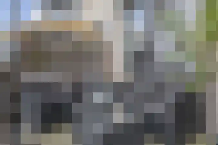 Reidans 50 Capelle aan den IJssel thumbnail 31