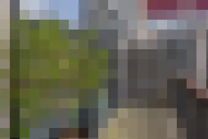 Reidans 50 Capelle aan den IJssel thumbnail 32