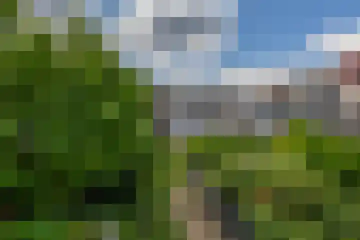 Reidans 50 Capelle aan den IJssel thumbnail 33