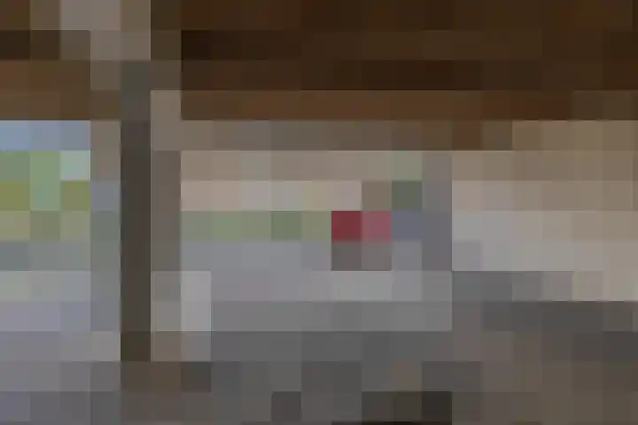 Reidans 50 Capelle aan den IJssel thumbnail 34