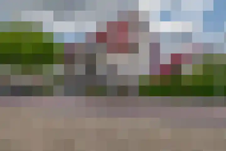 Reidans 50 Capelle aan den IJssel thumbnail 36