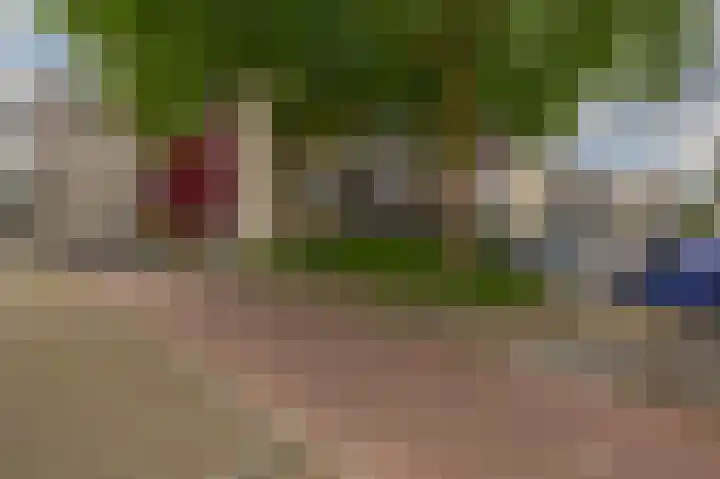 Reidans 50 Capelle aan den IJssel thumbnail 38
