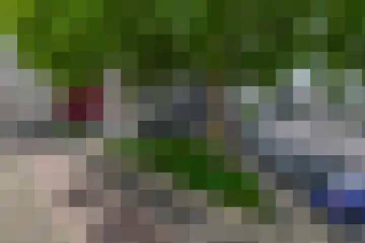 Reidans 50 Capelle aan den IJssel thumbnail 39