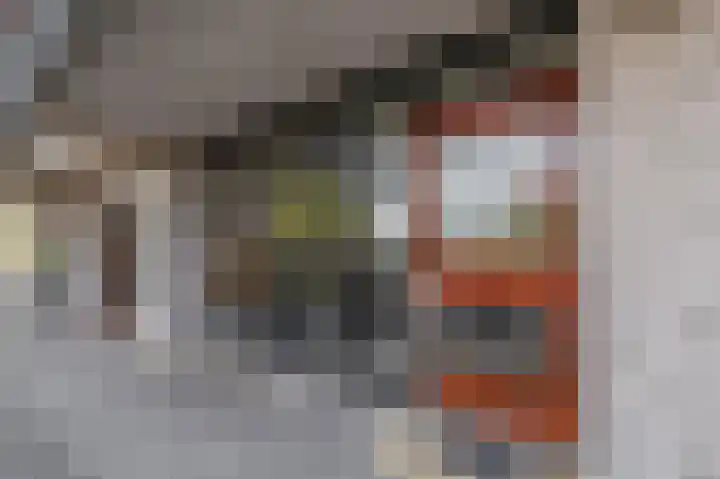 Reidans 50 Capelle aan den IJssel thumbnail 5