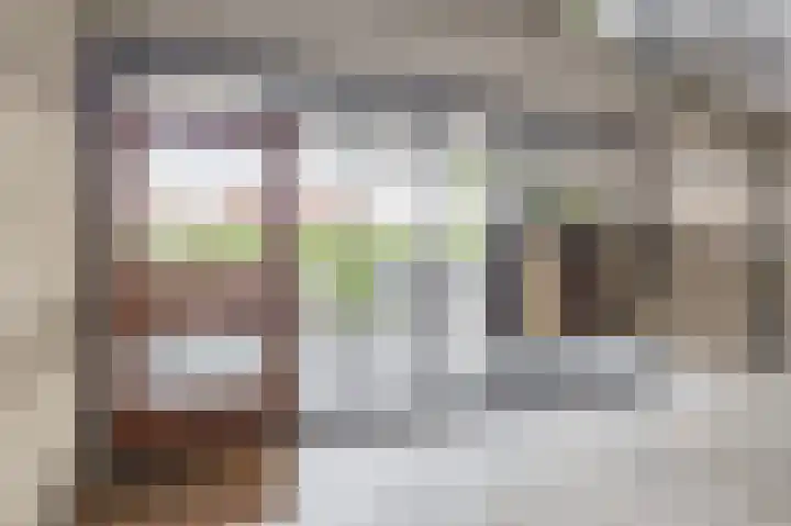 Reidans 50 Capelle aan den IJssel thumbnail 6
