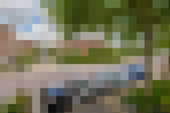 Reidans 50 Capelle aan den IJssel thumbnail 8