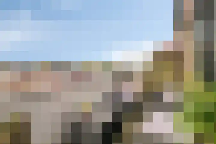 Reidans 60 Capelle aan den IJssel thumbnail 10